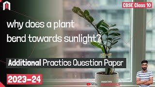 Q9 Rajesh noticed that a potted plant kept in the window of his room shows bending towards sunlight [upl. by Lowenstern]