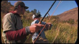 Deschutes River Outfitters Steelhead [upl. by Grosvenor]