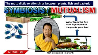 DIGITURO in Science 7 Describe the different ecological relationships found in an ecosystem [upl. by Ellekim]