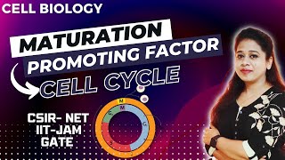 Maturation Promoting Factor in Cell Cycle  Mitosis Promoting Factor  CSIR NET  Cell Biology CSIR [upl. by Dudden901]