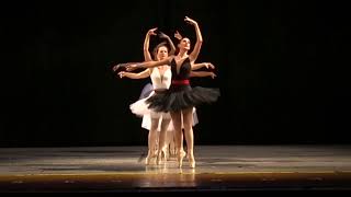 Pointe Performance at Philadelphia Dance Day 2018 [upl. by Fiden635]