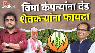 Crop Insurance Fine  केंद्राच्या पीकविमा नियमात शेतकऱ्यांना भरपाई देण्याची मुदत  Agrowon [upl. by Voleta819]