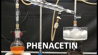 PHENACETIN SYNTHESIS WILLIAMSON ncchem [upl. by Dearman966]