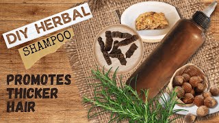 How to Make Homemade Shampoo for Healthy Hair Rosemary Reetha Shikakai African Black Soap [upl. by Crispen]