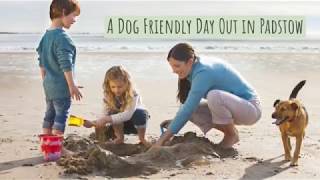 Dog Friendly Days Out in Padstow [upl. by Misa]