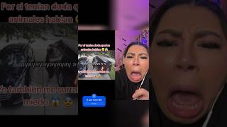 La tía Lola reacciona kheeee reaction humor anime shorts [upl. by Ansley]