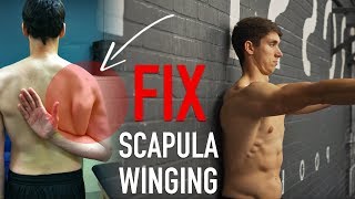 Fix Scapula Winging FULL ROUTINE [upl. by Dranreb560]