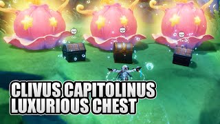 Clivus Capitolinus Luxurious Chest Puzzle Genshin Impact [upl. by Cherri]