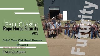 Fall Classic Rope Horse Futurity 2023 5amp6 yr Head Horses Round 1 [upl. by Zamir]