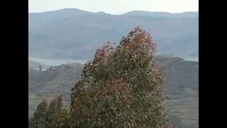 LAKE BUNYONYI  place of many little birds [upl. by Idnic52]