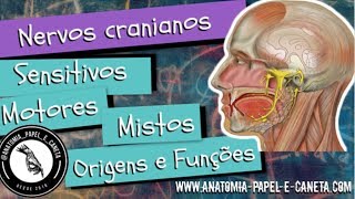 NERVOS CRANIANOS  Sensitivos Motores e Mistos  Origens e funções [upl. by Ezana]