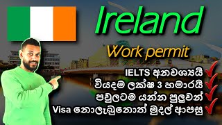 අයර්ලන්තයේ රැකියා වීසා අඩුම වියදමකින්  Ireland Critical Skills work visa 2024  No IELTS  Sinhala [upl. by Parthinia]