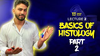 Lecture 2 Medical terminology and basics of Histology🤝  Part 2 1 [upl. by Duvall]