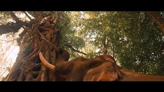 Iyobinte Pusthakam  Movie Scene 04 [upl. by Beitz]