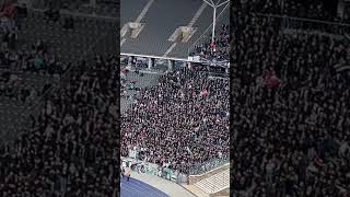 Wir trinken das schäumende Bier  Hannover 96 Fans in Berlin hannover96 herthabsc ultras support [upl. by Rebane]