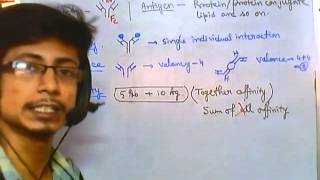 Antigen antibody reaction overview [upl. by Feeley916]