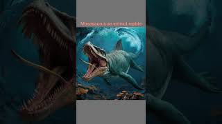 Mosasaurus a sea reptile beautyofnature marinelife shorts [upl. by Sueddaht]