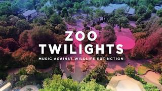 Zoo Twilights 2018 [upl. by Yole]