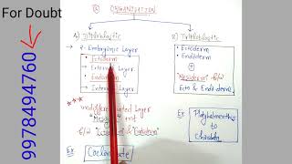 Diploblastic amp Triploblastic organisation [upl. by Kylie]