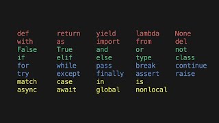 Every Python Keyword Explained [upl. by Eittah]