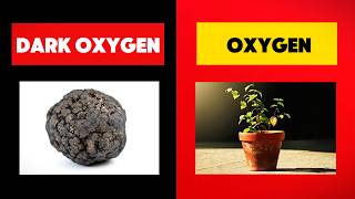 We Found DARK Oxygen at the BOTTOM of the Ocean  Discovery Polymetallic nodules  urduhindi [upl. by Beeson542]