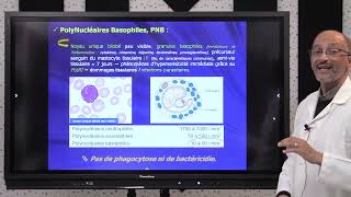 8 IMMUNOLOGIE S5  Cellules du Système Immunitaire inné part 3 [upl. by Hairahcaz]