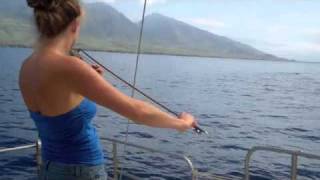 Whales Hang out to Hear Violin [upl. by Frentz]