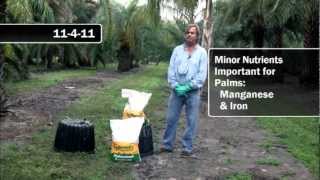 Recommended Fertilizers for Palms [upl. by Naples]