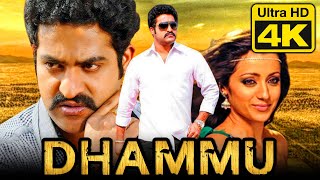 Dhammu 4K Telugu Hindi Dubbed Full Movie  Jr NTR Trisha Krishnan Karthika Nair [upl. by Bonney975]