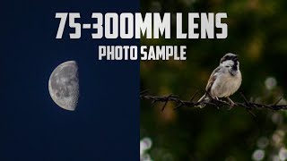 Canon 75300mm lens Photo samples  75300mm lens review  Best photography lens  perfect capture [upl. by Kennedy]