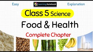 Class 5 Science Food and Health [upl. by Dihgirb453]