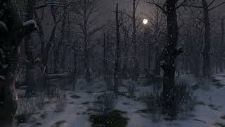 Cold Winter Forest Ambience  Snowy Winter Nights Forest Sound 8 Hours  Owl Crow Sounds [upl. by Idas]