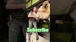 lion animals zoo travel animals trainner atack mrbeast [upl. by Noside]