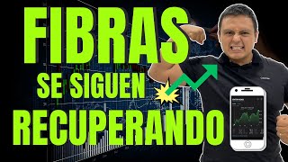 Desempeño de las FIBRAS 2024  Se Siguen Recuperando de la Caída de ENERO [upl. by Pacifica]