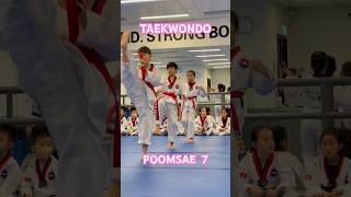 TAEKWONDO KIDS  Poomsae 7  Red Belt  Taekwondo Sparring  Taekwondo Technique  Training  Kicks [upl. by Story525]