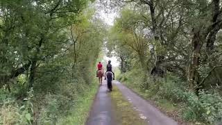 CnG Equine Flash riding in the field [upl. by Barthold]