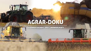 Landwirtschaft mit Leidenschaft  Getreideernte 2023  Dokumentation  Soester Börde [upl. by Amund357]