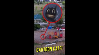 we ran into REAL cartoon cat while flying our drone and HE FOUND OUT [upl. by Ocsicnarf]