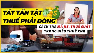 THUẾ PHẢI NỘP KHI NHẬP KHẨU TỪ TRUNG QUỐC VỀ VIỆT NAM  CÁCH TRA MÃ HS THUẾ SUẤT NHẬP KHẨU [upl. by Dotson946]