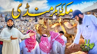 Makkah ki bakra Mandi hajj season 2024  Latest hajj 2024 updates [upl. by Nauqram]