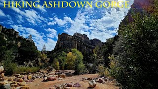 Hiking Ashdown Gorge In Southern Utah [upl. by Arbrab]