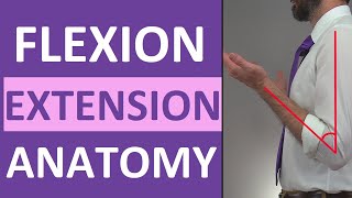 Flexion and Extension Anatomy Shoulder Hip Forearm Neck Leg Thumb Wrist Spine Finger [upl. by Otreblon]