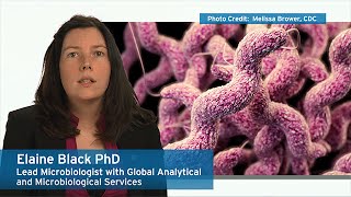 Ecolab Experts on Microbes – Campylobacter [upl. by Atinej]