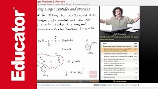 Peptides and Proteins Sequencing  Biochemistry Tutorial [upl. by Soma]