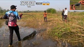 AMAZING SNAKEHEAD FISHING SPOT अब मरल ऐसी जगहों पर लगेगी [upl. by Angelita]