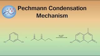 Pechmann Condensation Mechanism Coumarin Synthesis  Organic Chemistry [upl. by Navnod]