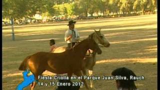 Jineteadas y Broche de Oro en la fiesta criolla de Rauch Enero 2012 [upl. by Nosrac363]