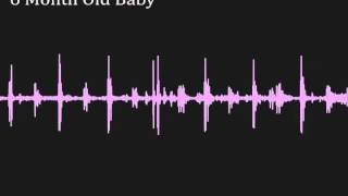 Recorded babys heartbeat from a 6 month old infant [upl. by Anura]