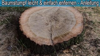 Großen Baumstumpf mit Wurzel mühelos amp einfach entfernen – Tipps amp Tricks – Lifehack im Garten [upl. by Urana]