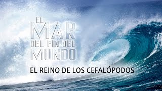 El Mar del Fin del Mundo Cap 1 El Reino de los cefalópodos Español [upl. by Lael]